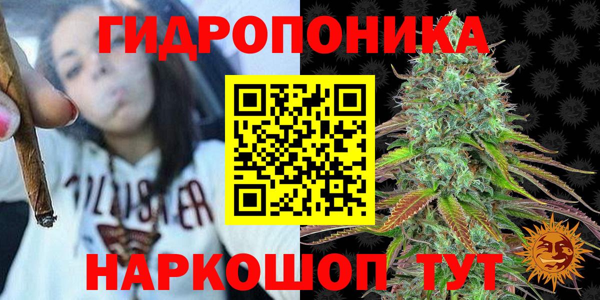 Марихуана конопля  Вход с VPN  Конопля AK-47  Ростов Великий  Марихуана конопля  Конопля сатива 